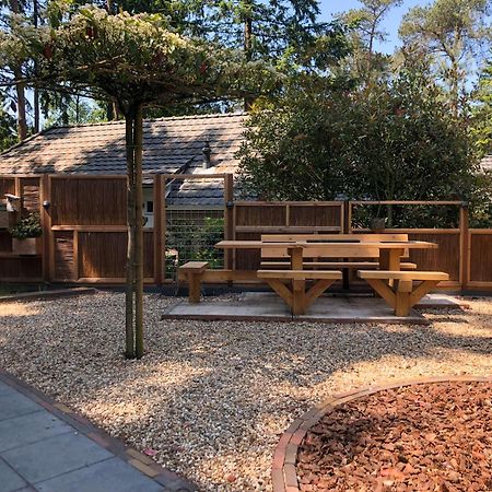 Veluwe Vakantiehuis - Bosuil Lodge Lunteren Dış mekan fotoğraf