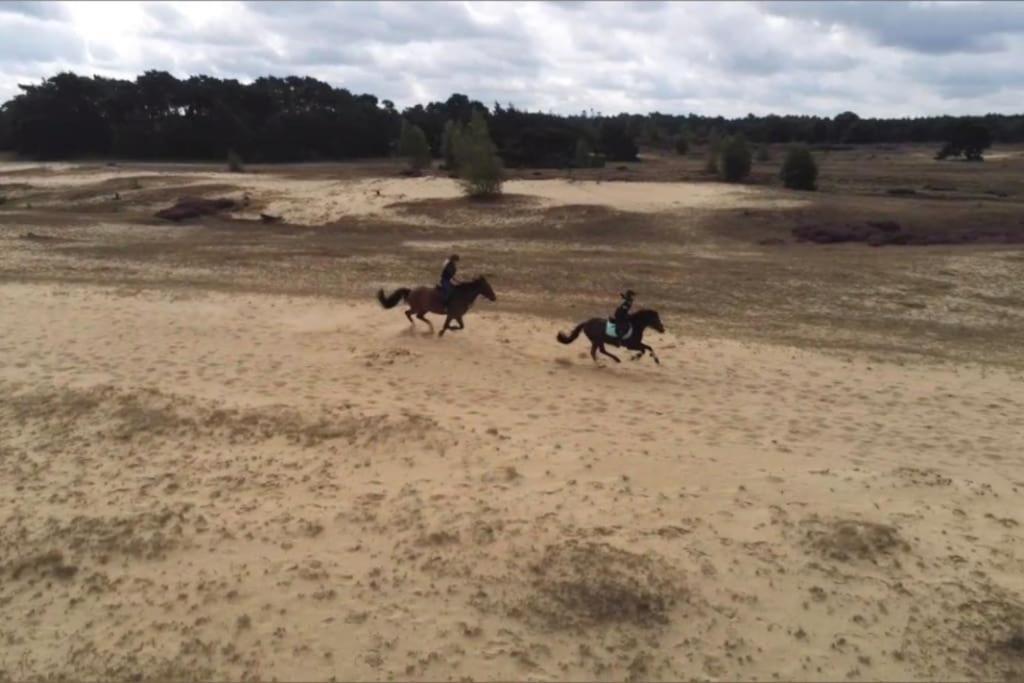 Veluwe Vakantiehuis - Bosuil Lodge Lunteren Dış mekan fotoğraf